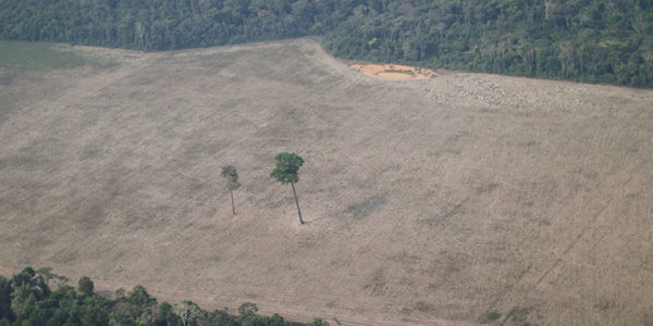 Deforestación en Amazonas