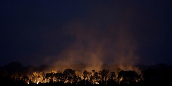 Incendios en el Amazonas, año 2020. Los peores en una década.