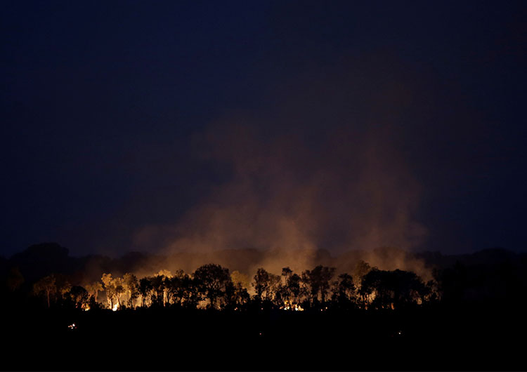 Incendios en el Amazonas, año 2020. Los peores en una década.